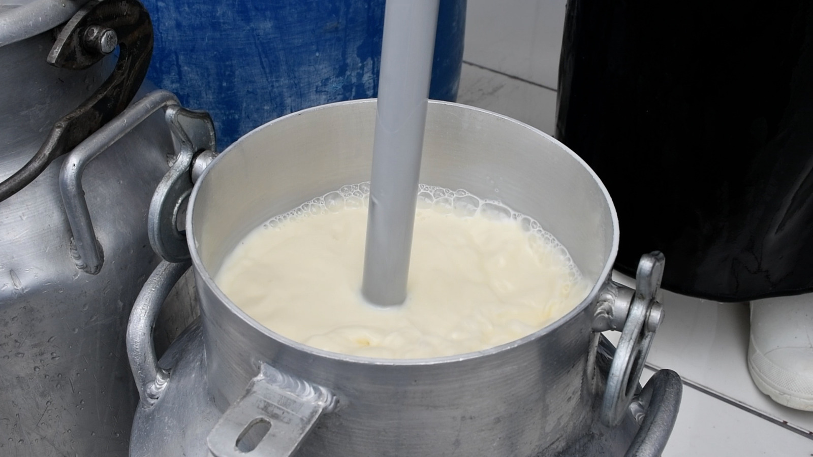 Gobierno demuestra apoyo sostenido al sector lácteo y desmiente declaraciones de Fedeple Santa Cruz