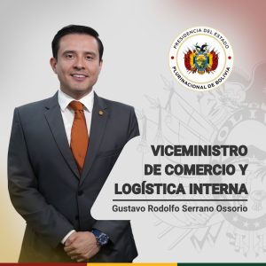 VICEMINISTRO DE COMERCIO Y LOGÍSTICA INTERNA