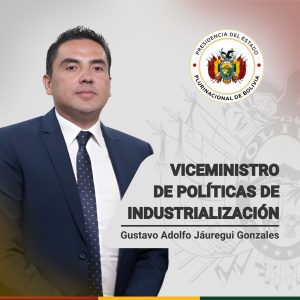 VICEMINISTRO DE POLÍTICAS DE INDUSTRIALIZACIÓN