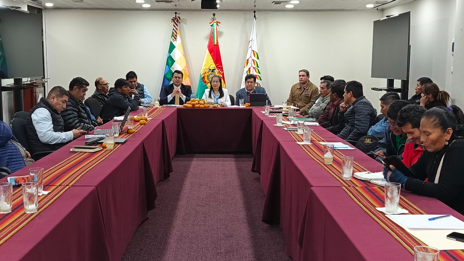 Gobierno nacional y municipios del Norte Paceño fortalecen coordinación para ejecutar proyectos productivos y de riego