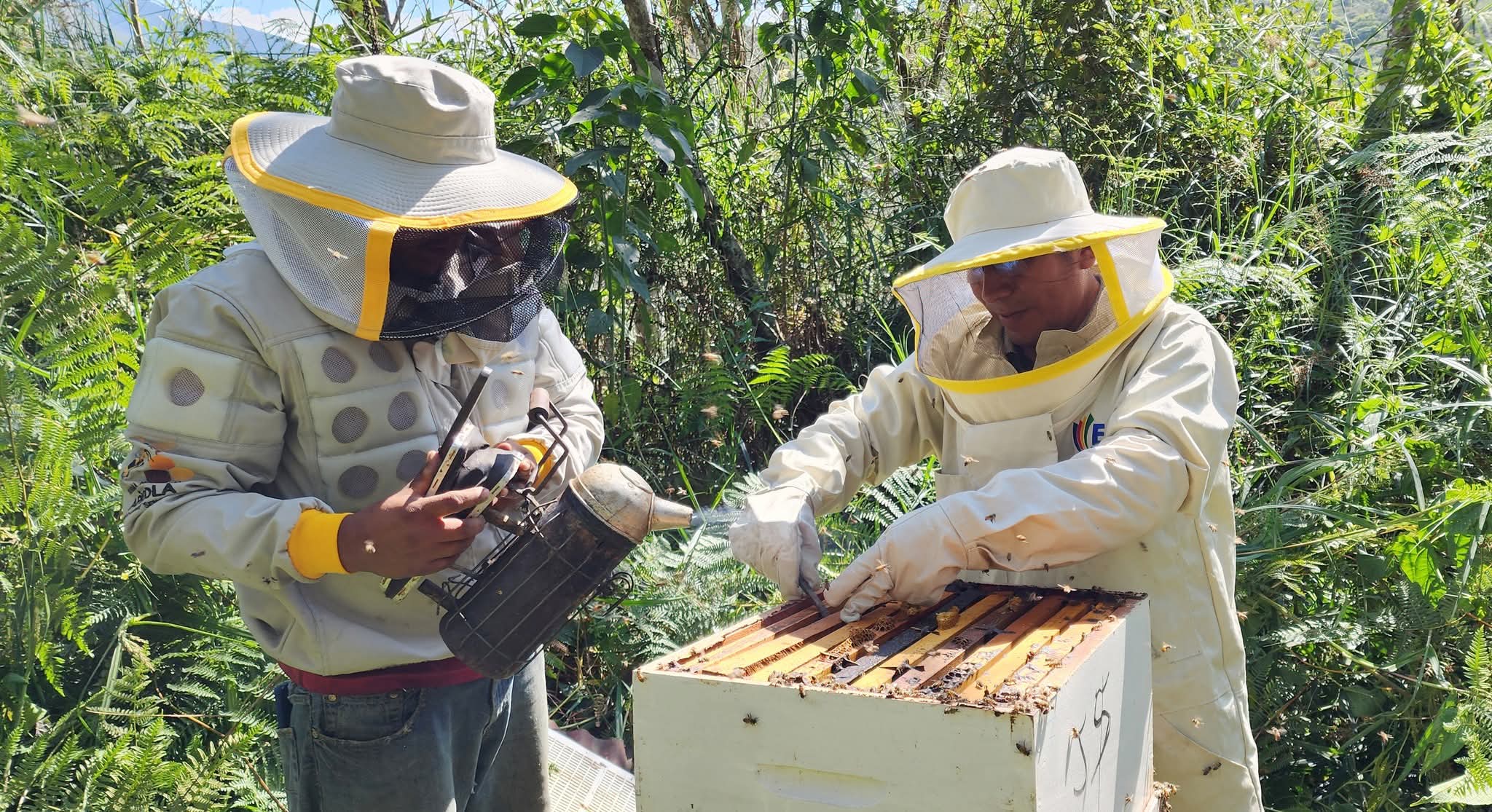 El Gobierno nacional cumple su compromiso y efectiviza el pago a los productores apícolas de Santa Cruz